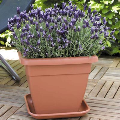 Square Patio Pot 30cm taupe